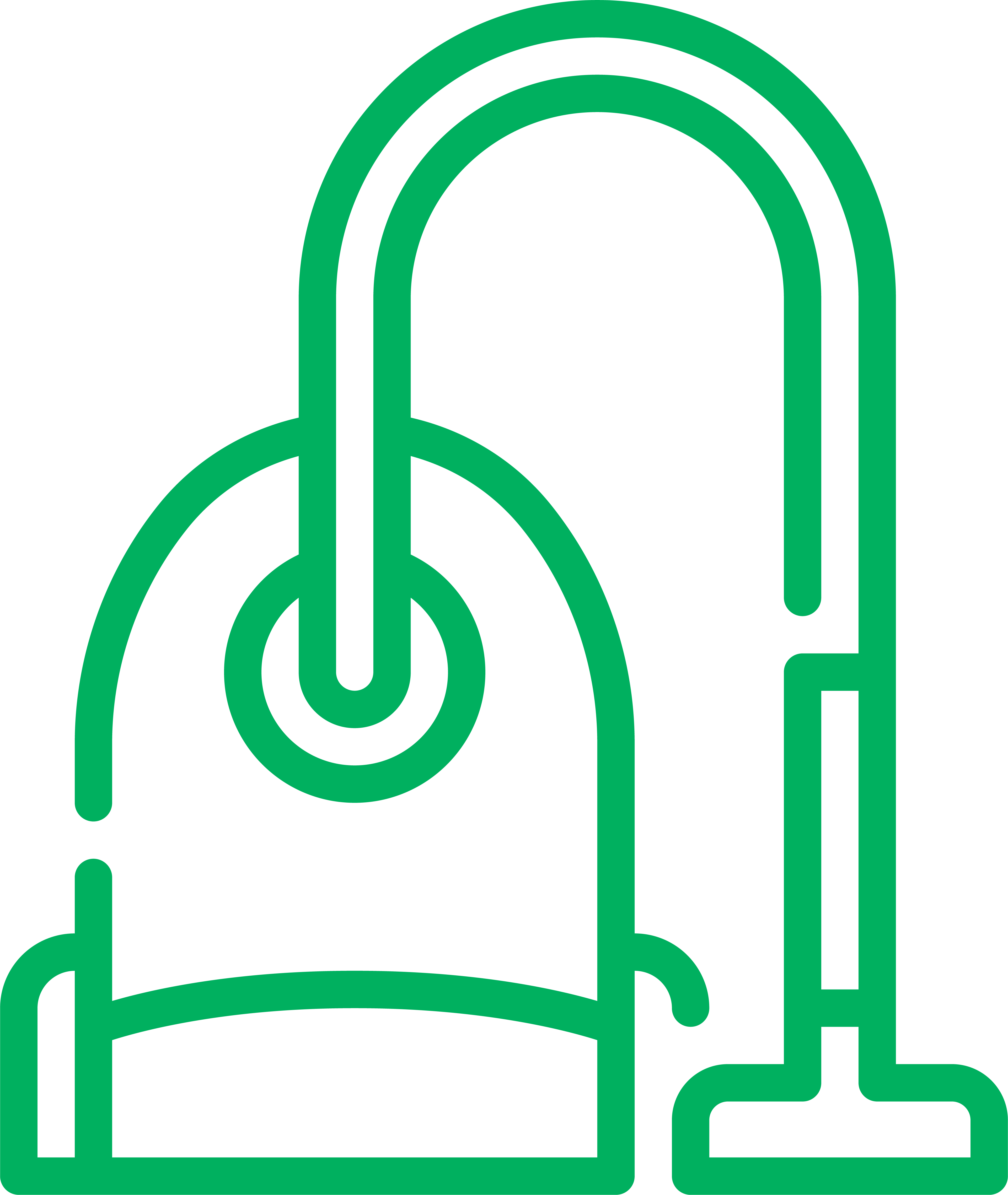 Image Icon